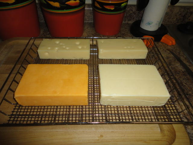 DSC00995.JPG