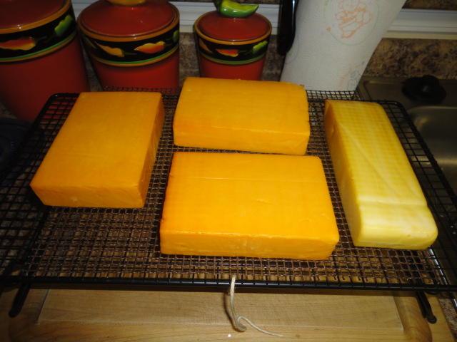 DSC01064.JPG