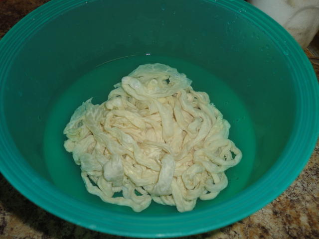 DSC01108.JPG