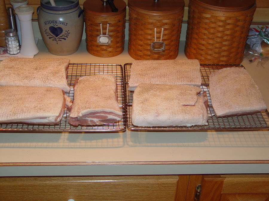 DSC01266.JPG