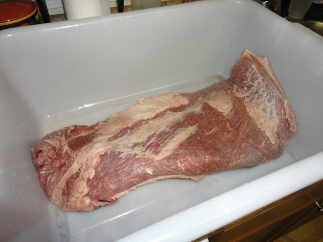 DSC01279.JPG