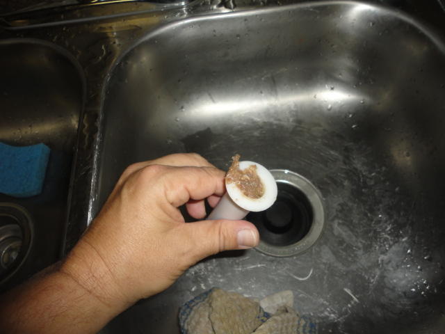 DSC01387.JPG