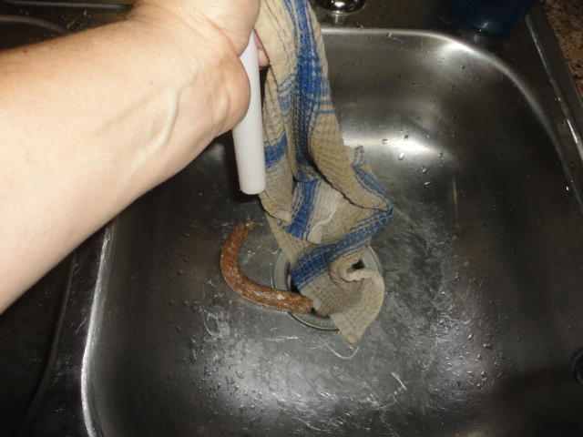 DSC01390.JPG