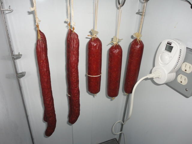 DSC01418.JPG
