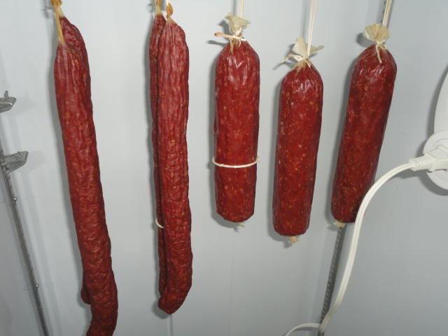 DSC01432.JPG