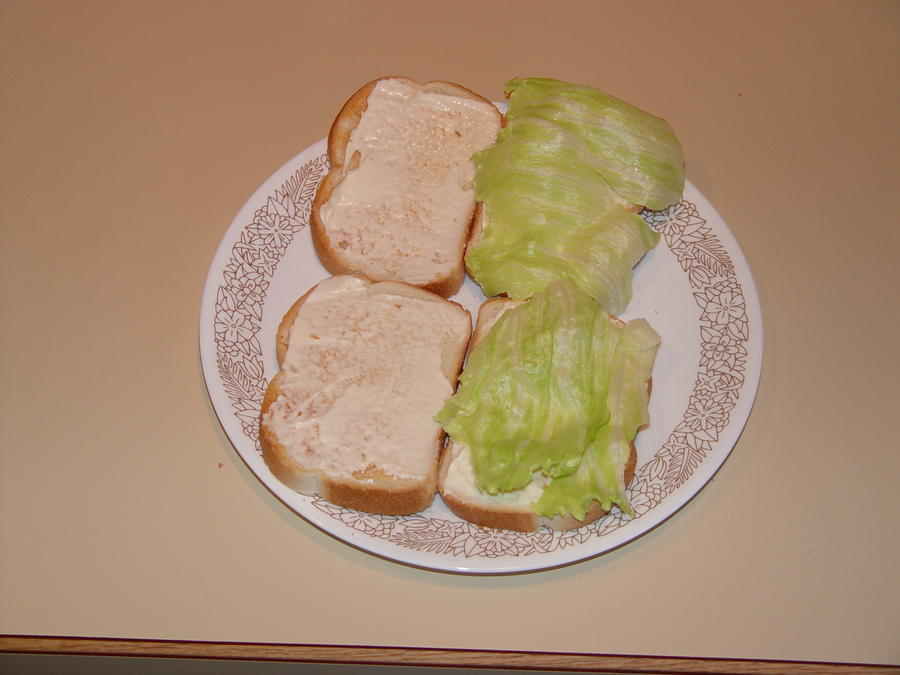 DSC01435.JPG