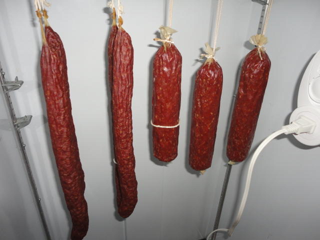 DSC01469.JPG