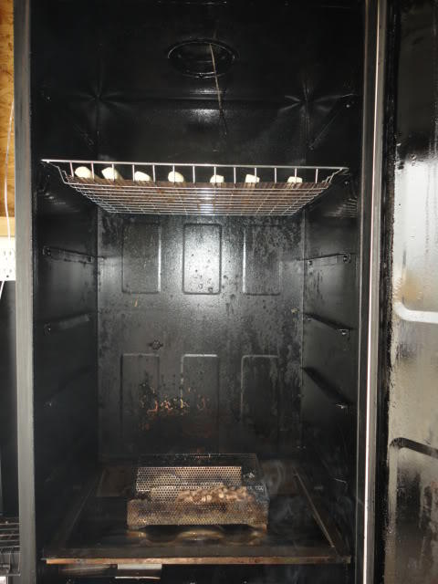 DSC01485.jpg
