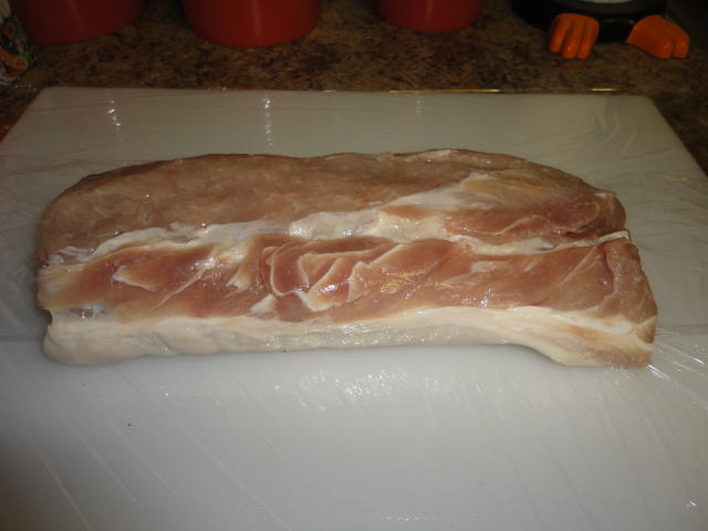 DSC01508.JPG