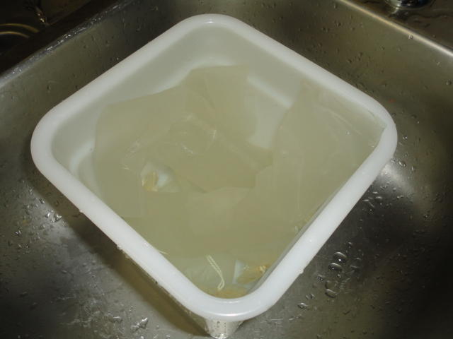 DSC01541.JPG