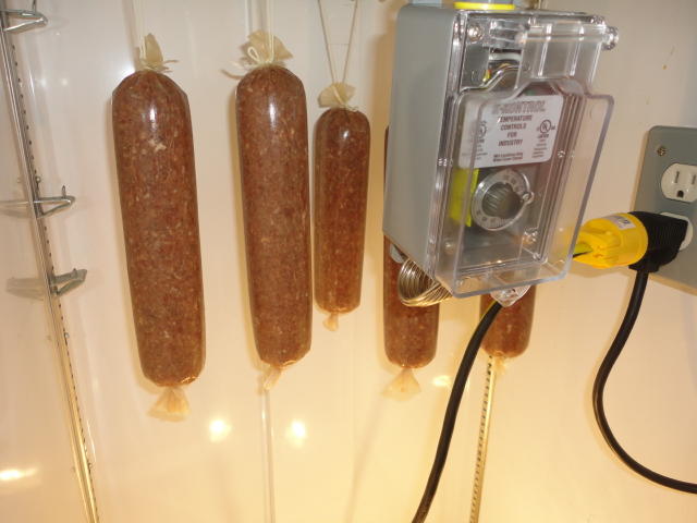 DSC01546.JPG