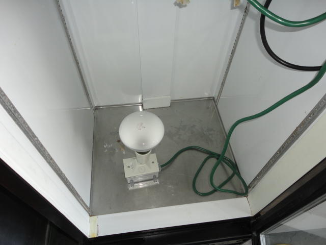 DSC01556.jpg