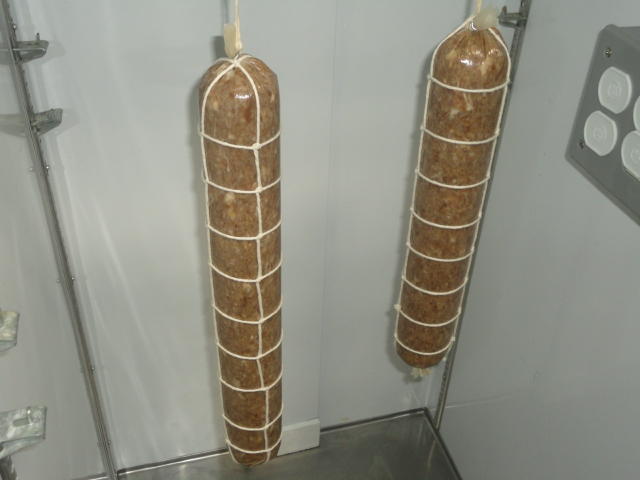 DSC01582.JPG