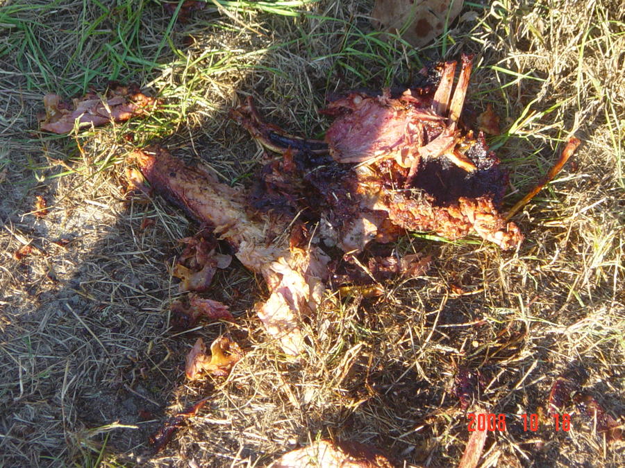 DSC01920.JPG