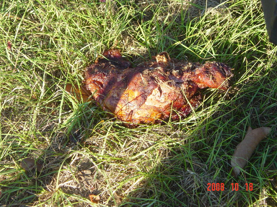 DSC01921.JPG