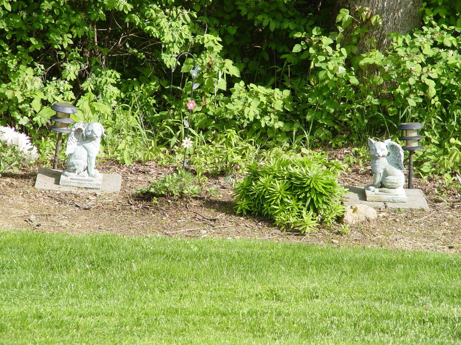 DSC02171.JPG