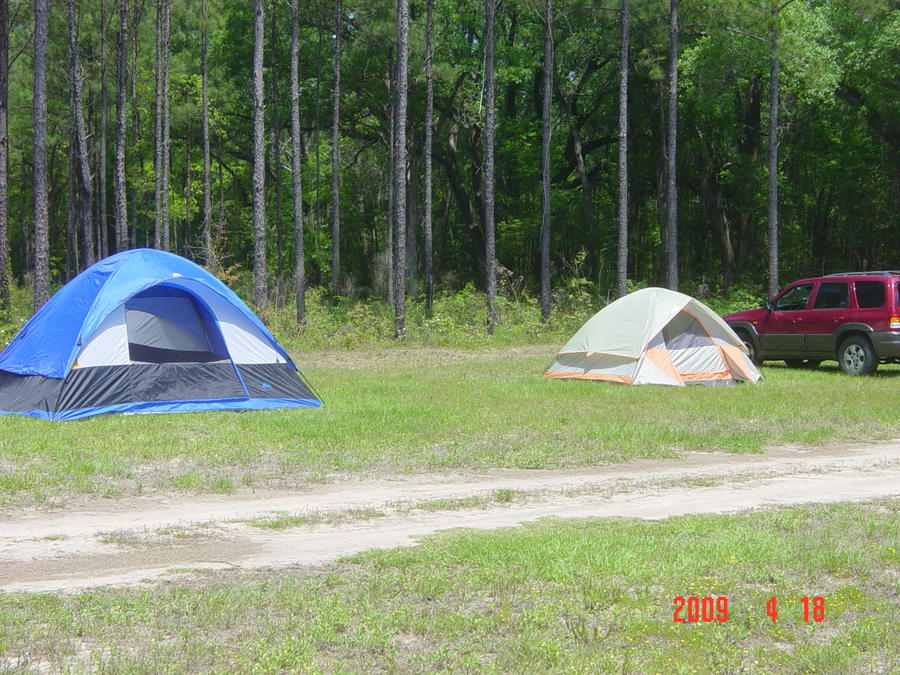 DSC02350.JPG