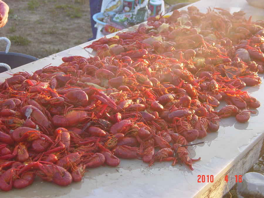 DSC02728.JPG
