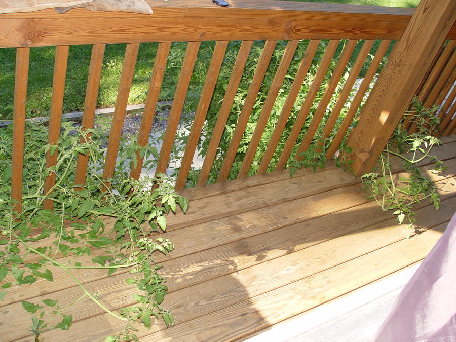 DSC02835.JPG
