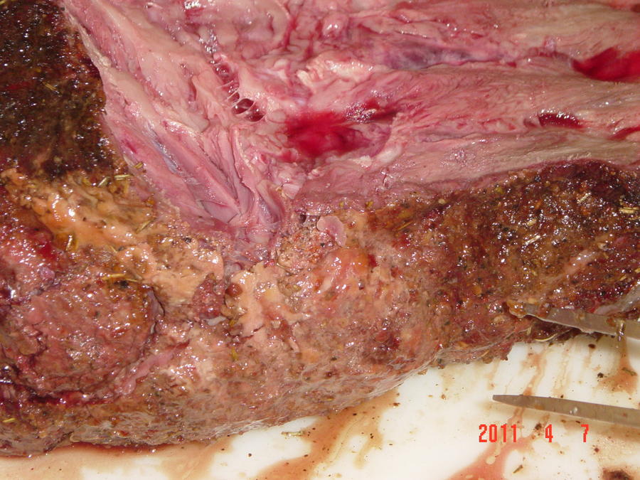 DSC03170.JPG