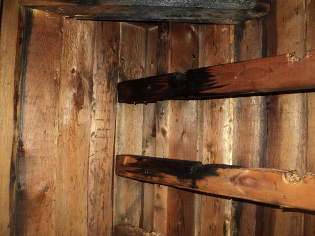 DSC03493.JPG
