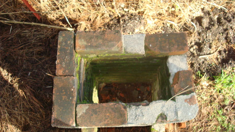 DSC07224.JPG