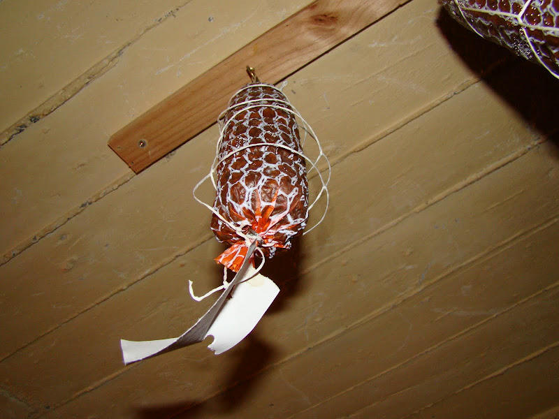 DSC07357.JPG