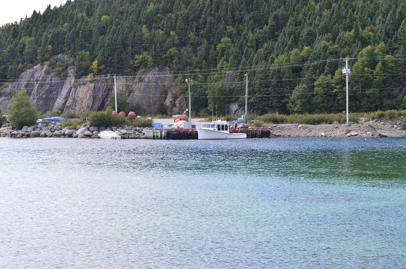 DSC_0015.JPG