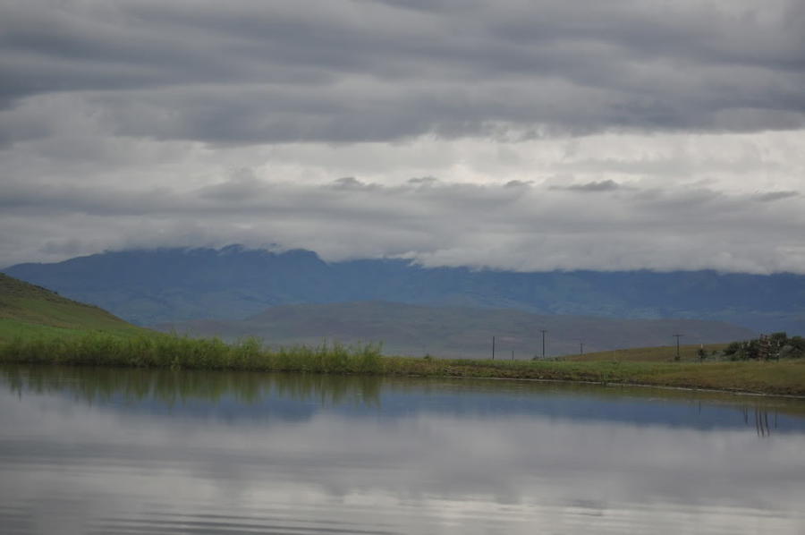 DSC_0178.jpg