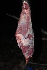 DSC_1707.JPG