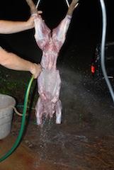 DSC_1735-1.JPG