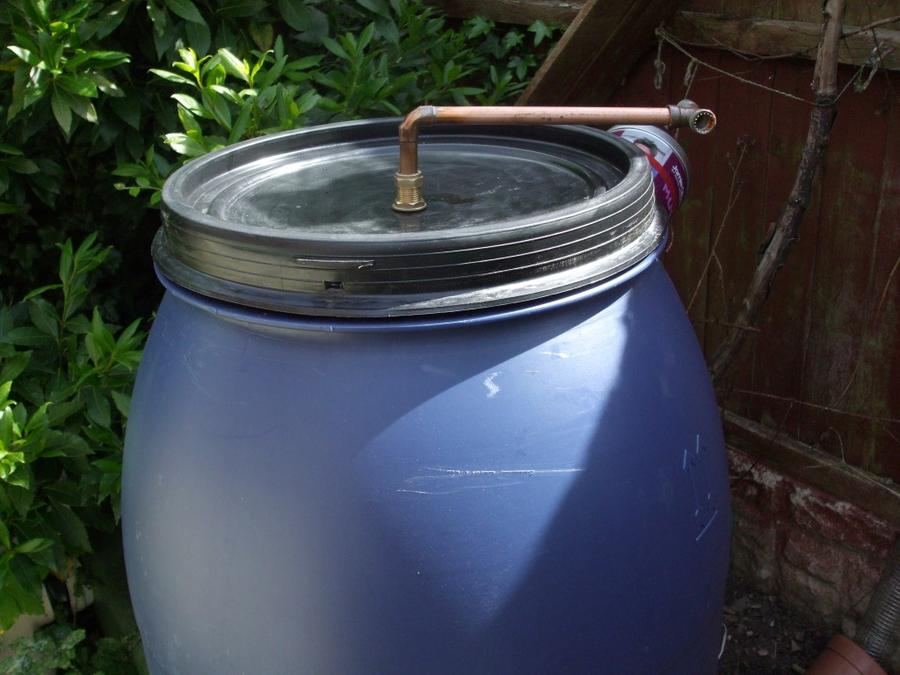 DSCF0377 (Medium).JPG