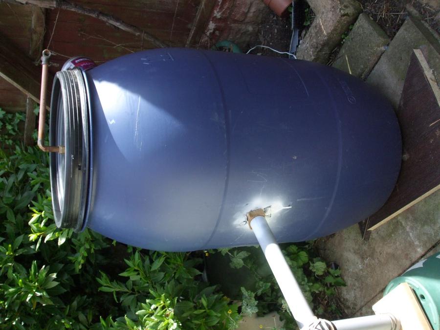 DSCF0378 (Medium).JPG