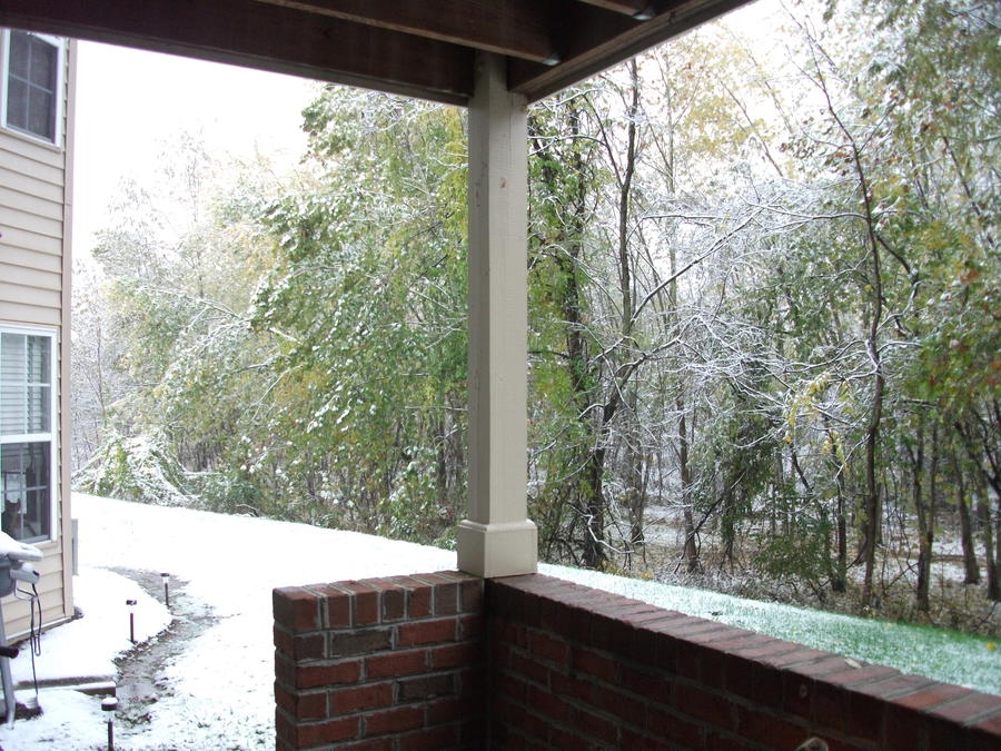 DSCF0728.JPG