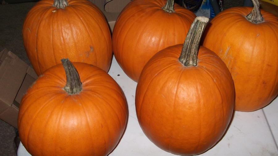 DSCF0893.JPG