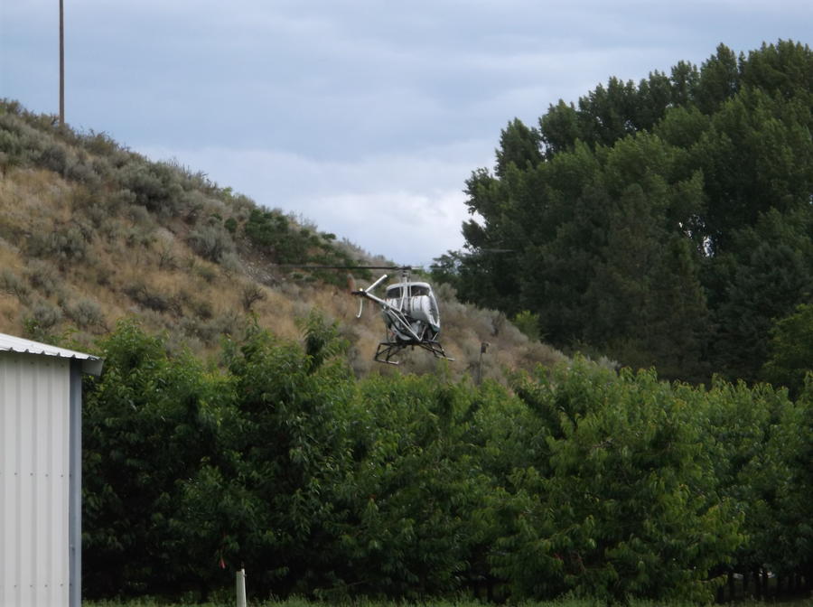 DSCF1498.JPG