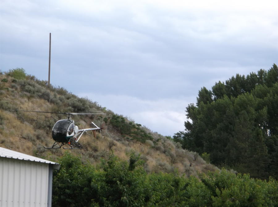DSCF1502.JPG
