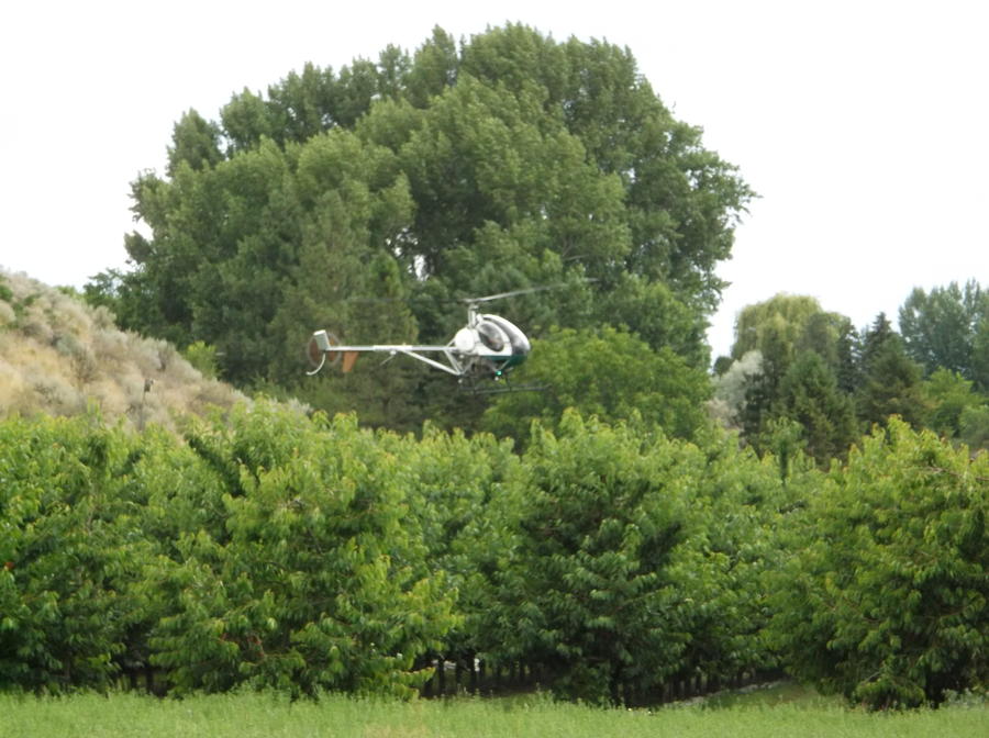 DSCF1504.JPG