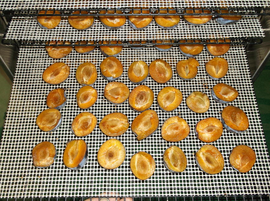 DSCF1733.JPG