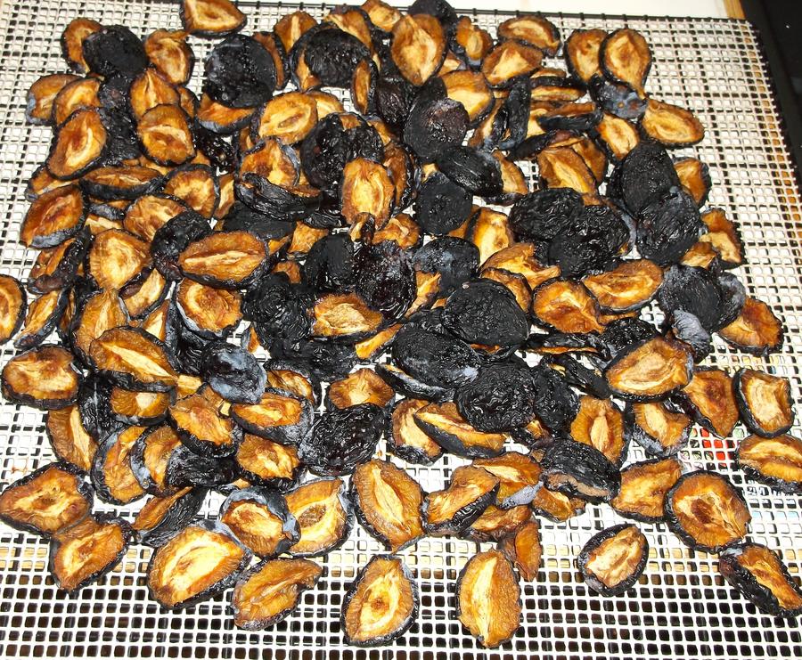 DSCF1734.JPG