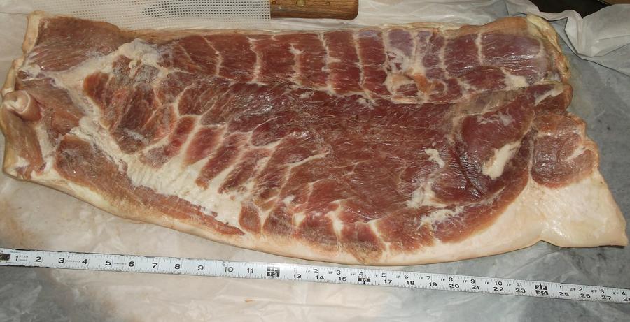 DSCF1823.JPG