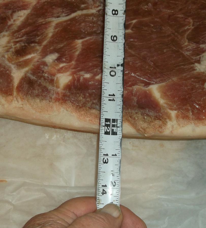 DSCF1826.JPG