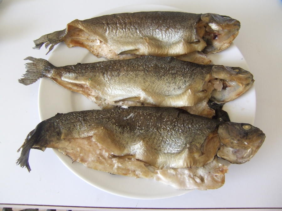DSCF1900.JPG