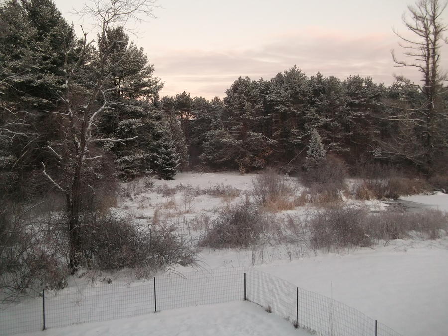 DSCF3842.JPG