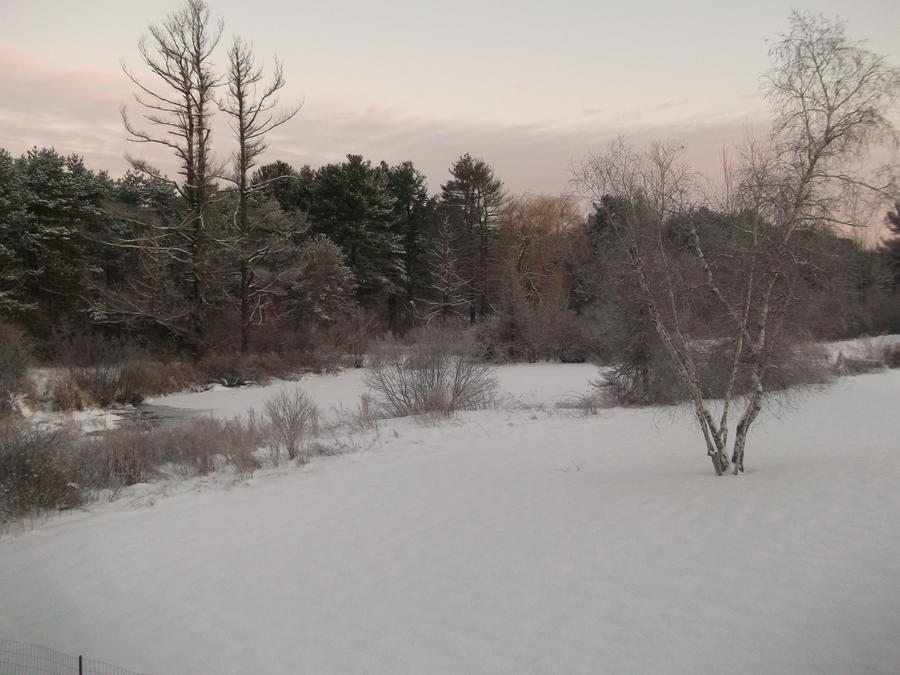 DSCF3843.JPG
