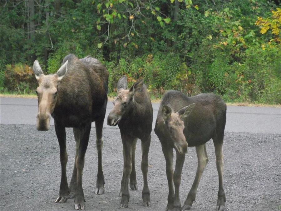 DSCF4721 (Medium).JPG