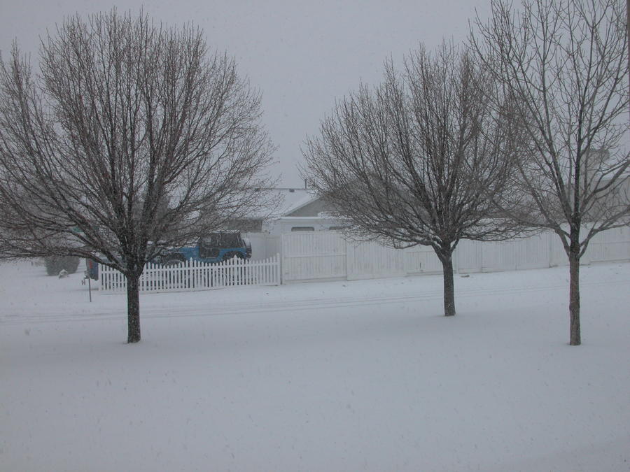 DSCN0119.JPG