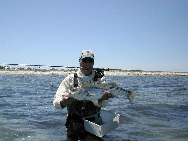 DSCN0132.JPG