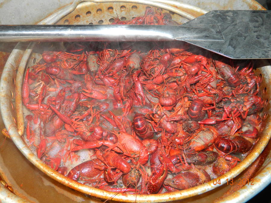 DSCN0519.JPG