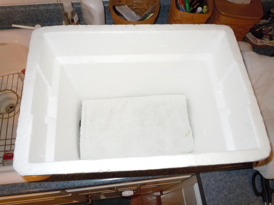 DSCN0564.JPG